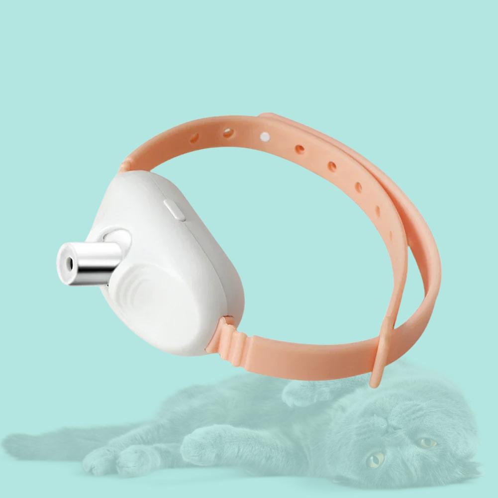 PawBeam - Das Laser- Spielhalsband für aktive Katzen