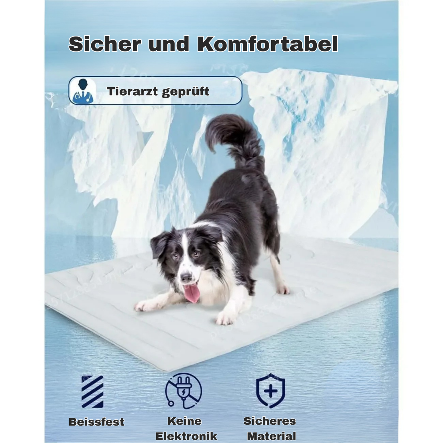 CoolBuddy Pad - Die kühlende Hundematte für heiße Tage