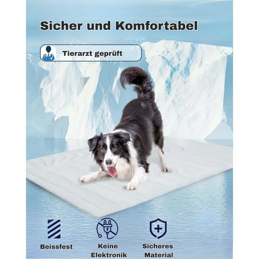 CoolBuddy Pad - Die kühlende Hundematte für heiße Tage