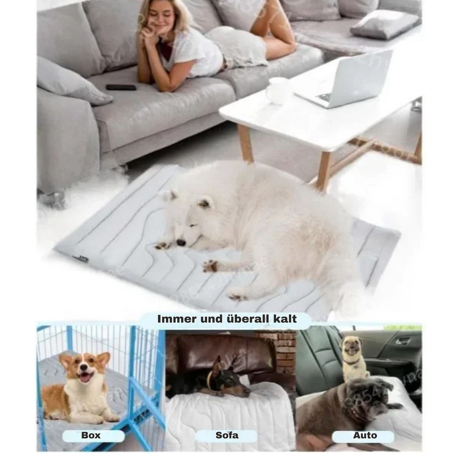 CoolBuddy Pad - Die kühlende Hundematte für heiße Tage