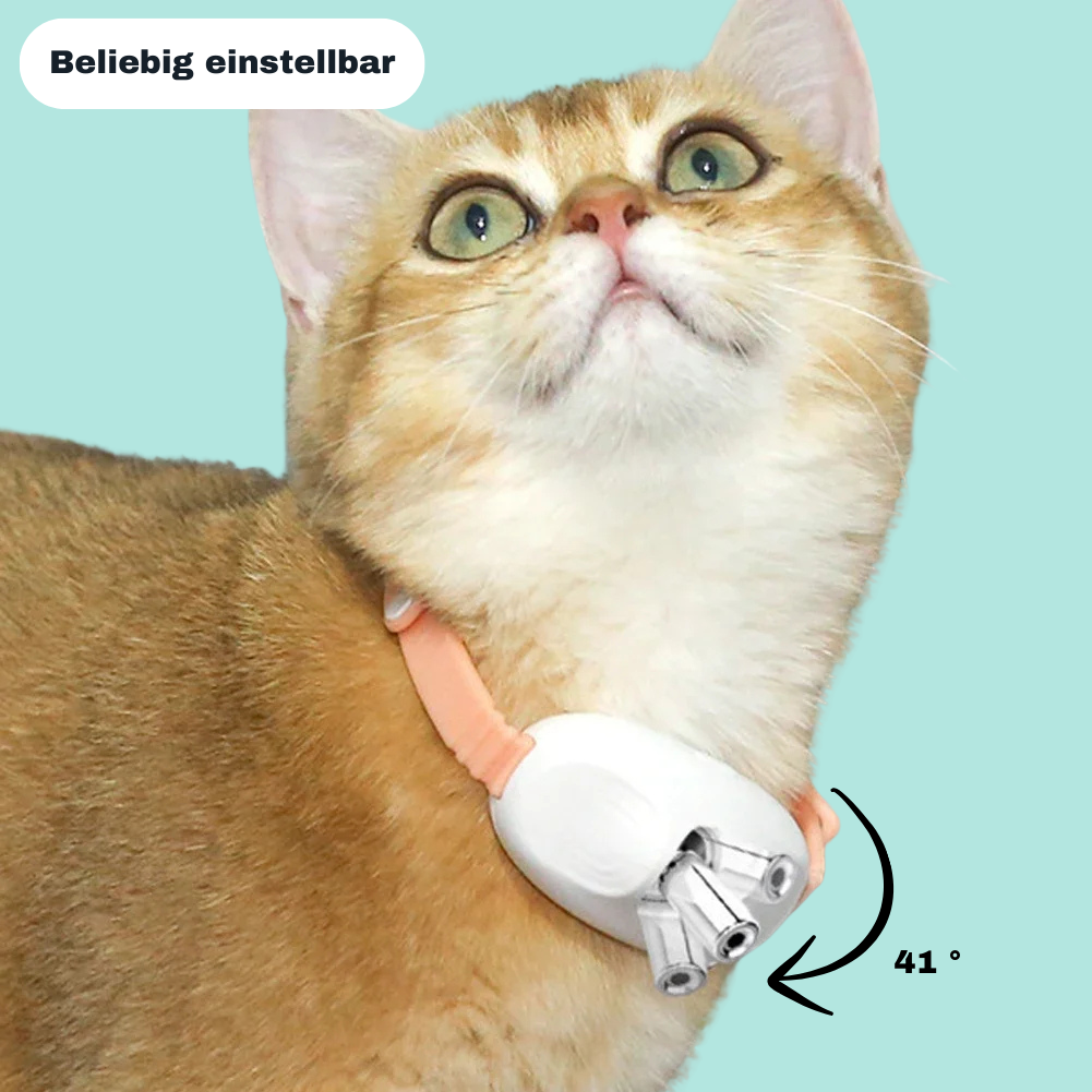 PawBeam - Das Laser- Spielhalsband für aktive Katzen