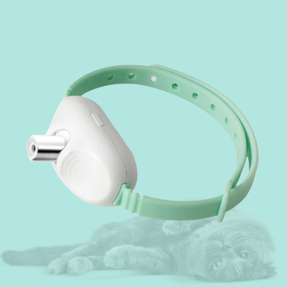 PawBeam - Das Laser- Spielhalsband für aktive Katzen