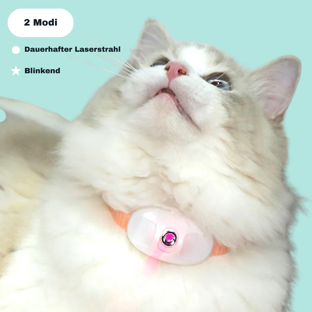 PawBeam - Das Laser- Spielhalsband für aktive Katzen